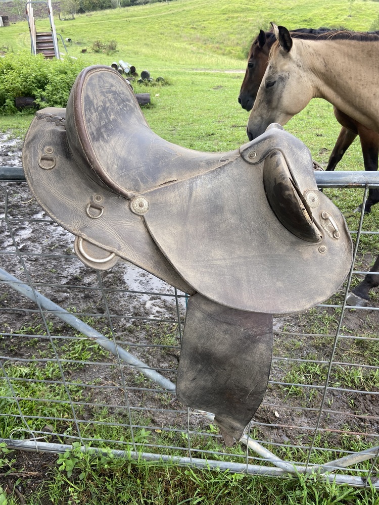 Ord river saddle 14 Inch Saddlery for sale Saddles, Tack and