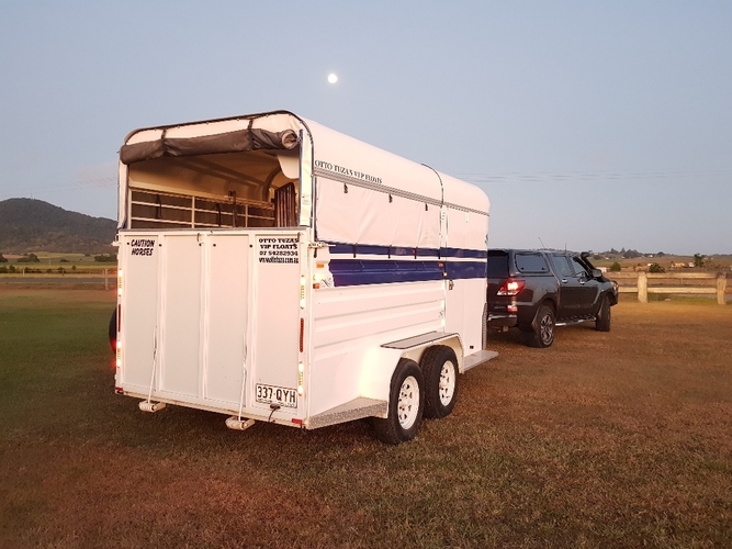 Beautiful Otto Tuza 3HAL Floats Horse Transports for sale in Mackay