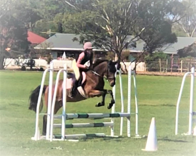 Dressage Showing Interschool Interschool horses Horse for sale in