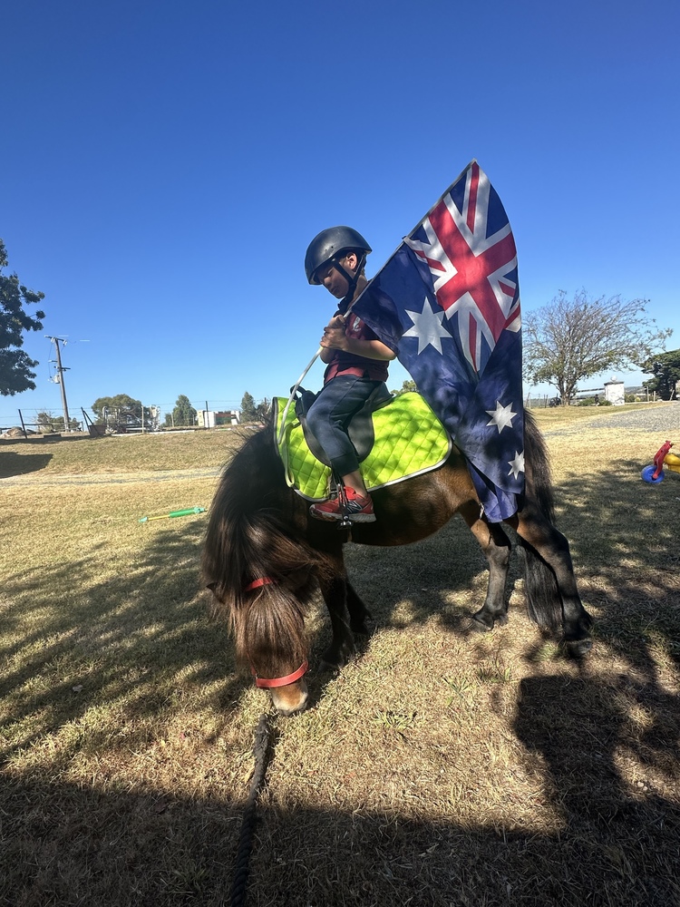 Safe first pony Allrounder horses Horse for sale in Lilydale VIC
