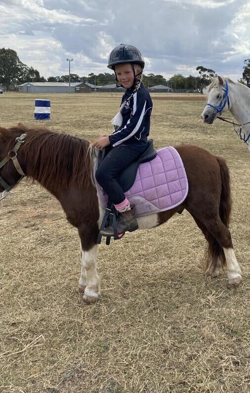 Shetland Beginners horses Horse for sale in Shepparton VIC Horse