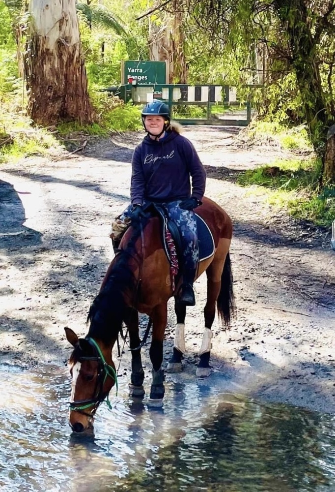 My Beautiful Rose Welsh x Thoroughbred Eventing horses Horse for