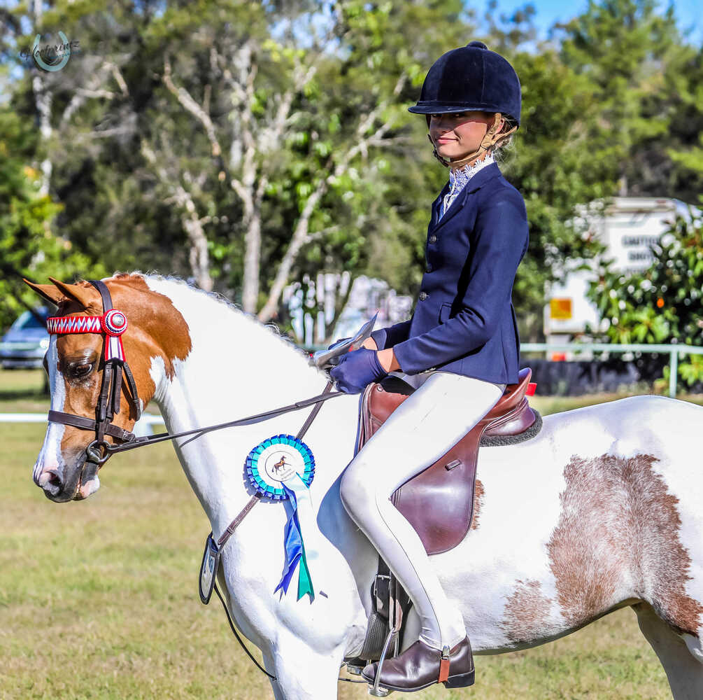 Flashy Riding Pony Performance Ponies Horse for sale in Tamborine