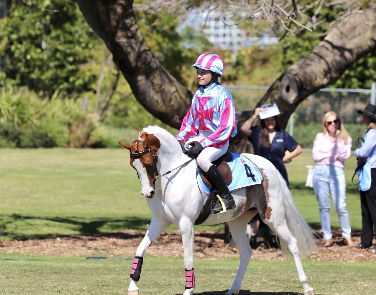 Flashy Riding Pony Performance Ponies Horse for sale in Tamborine