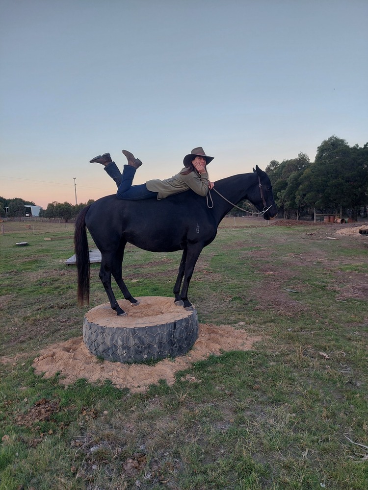 Blackberry Jam Campdrafting horses Horse for sale in Riddells Creek