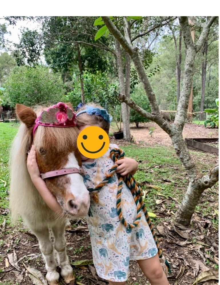 Miniature Pony (Ponies Beginners horses Horse for sale in Pinjarra