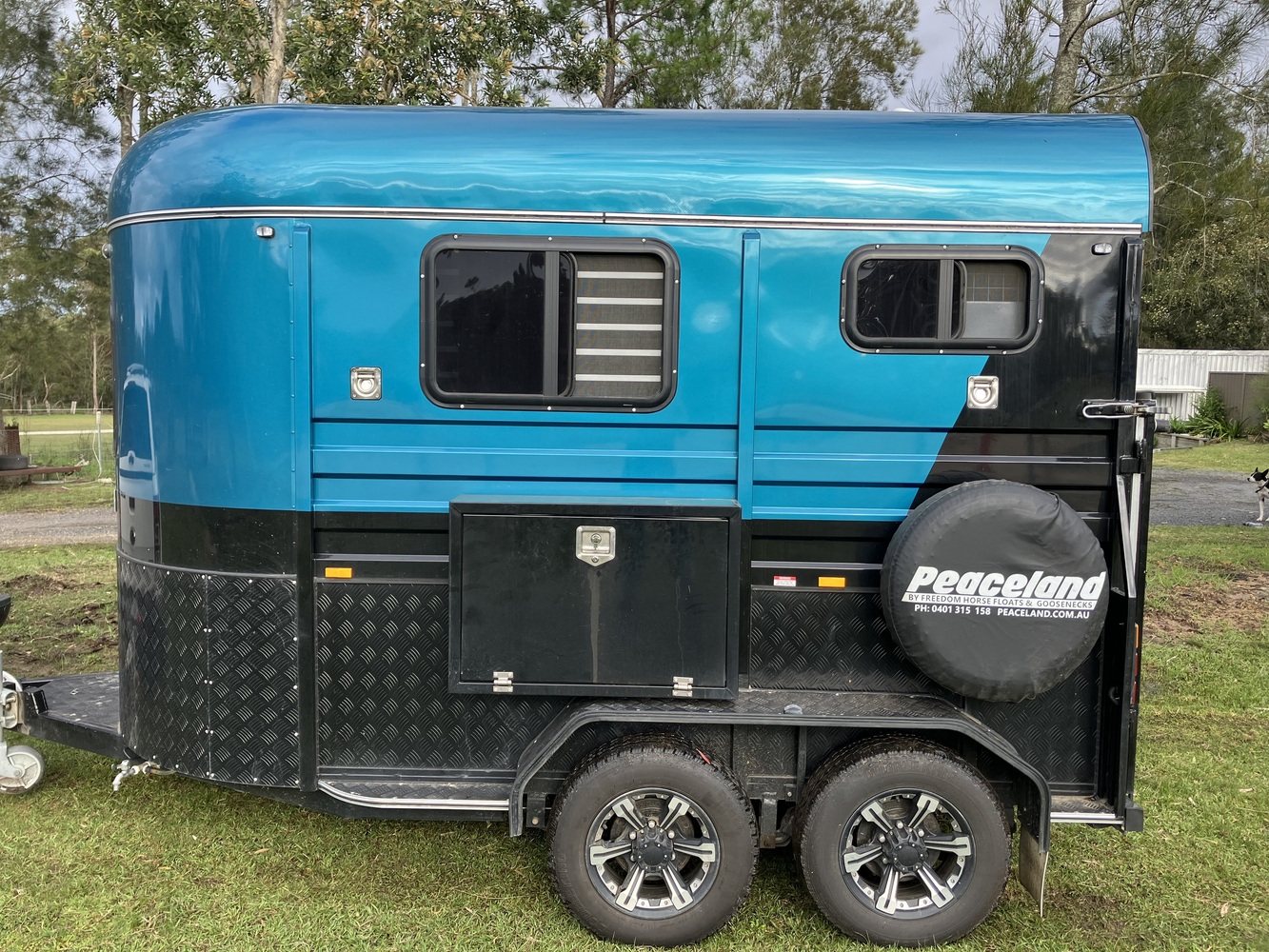 Peaceland 2HAL Floats Horse Transports for sale in Wyee NSW Horse