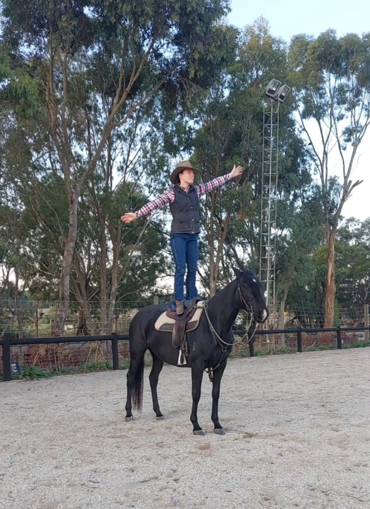 Blackberry Jam Campdrafting horses Horse for sale in Riddells Creek