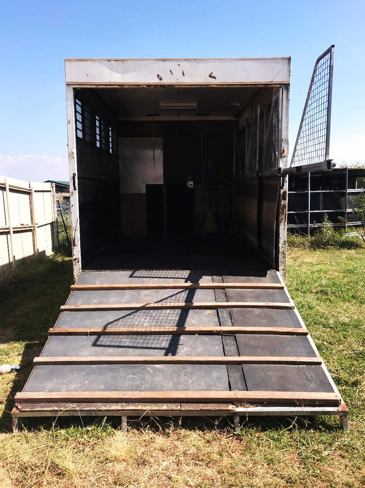 Transport ACT Area Trucks Horse Transports for sale in Queanbeyan