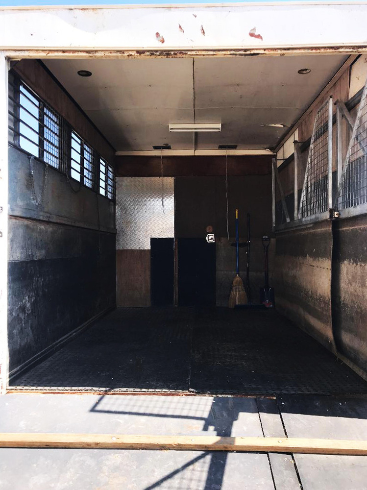 Transport ACT Area Trucks Horse Transports for sale in Queanbeyan