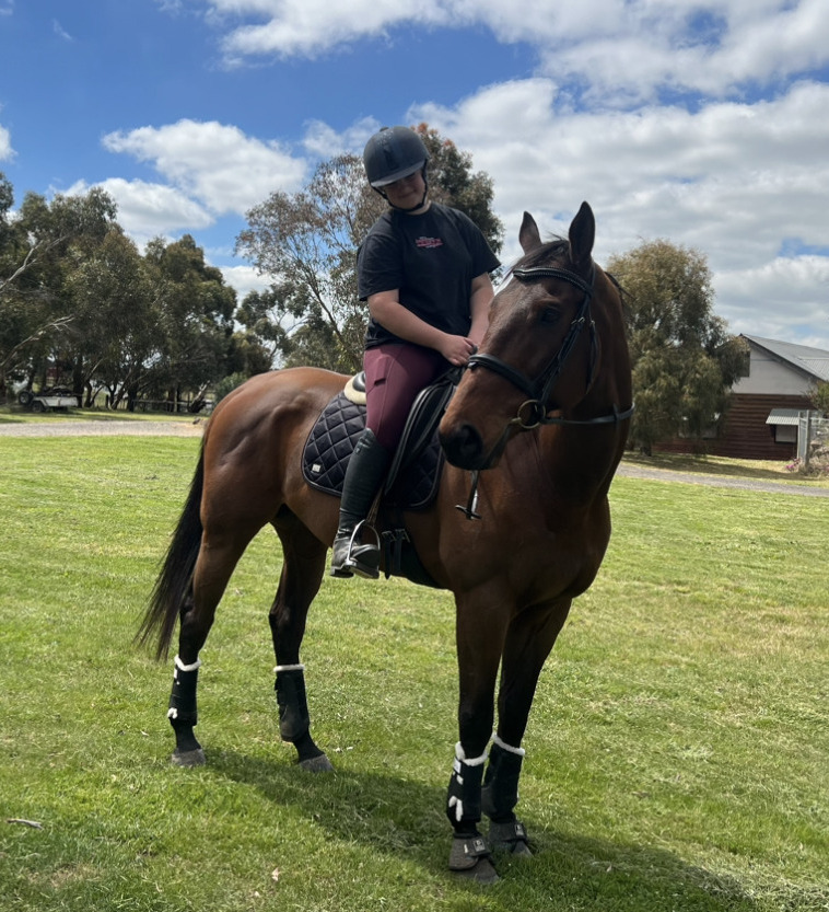 Dakota Dressage horses Horse for sale in Sunbury VIC Horse Deals
