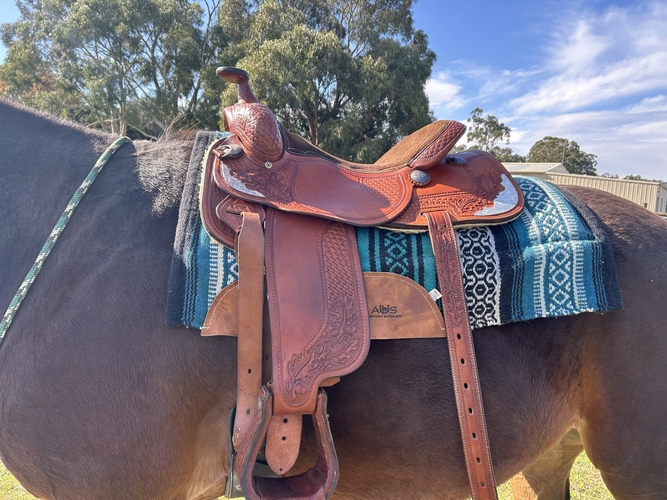 Col Hood Western Pleasure Saddlery for sale Saddles, Tack and