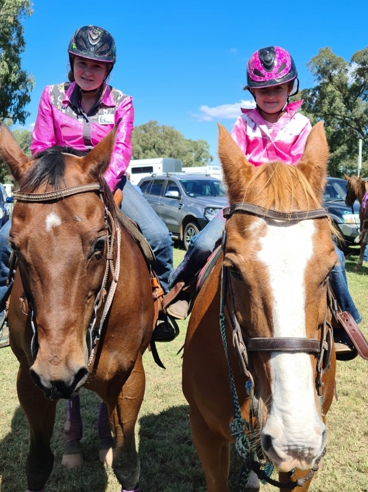 The Perfect Horse Barrel Racing horses Horse for sale in Dubbo NSW