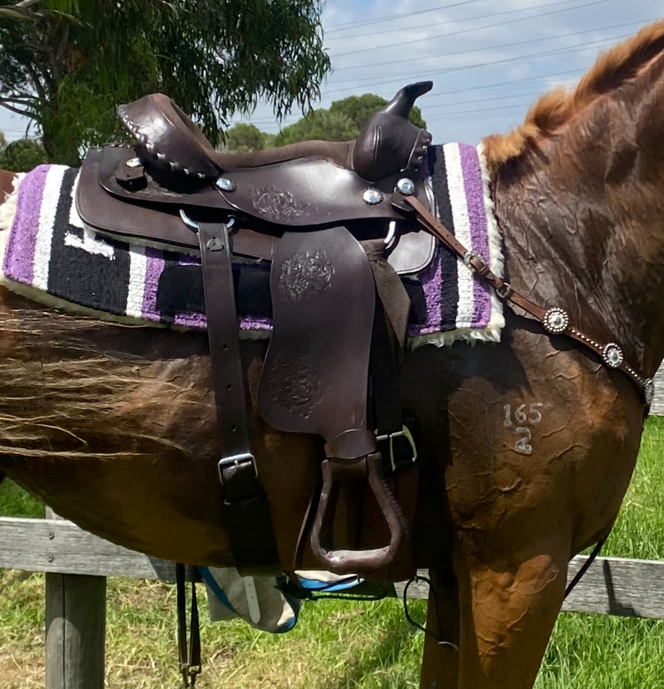 Near New 15inch western saddle Saddlery for sale Saddles, Tack and