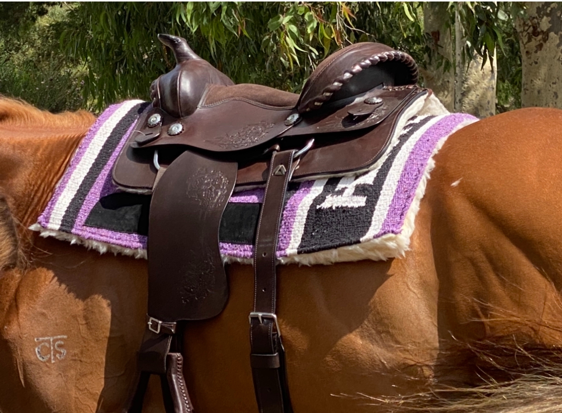Near New 15inch western saddle Saddlery for sale Saddles, Tack and