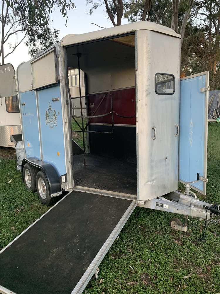 Ifor Williams Float w Front Offload Ramp Floats Horse Transports