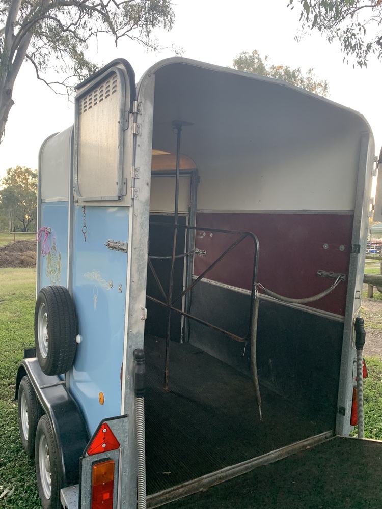 Ifor Williams Float w Front Offload Ramp Floats Horse Transports