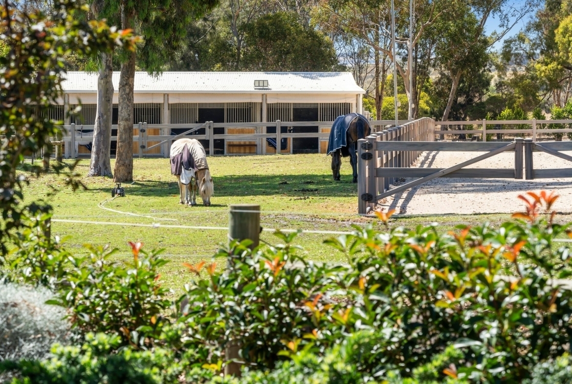 1220 Avila Road, Curlewis VIC Horse Property for sale in Curlewis