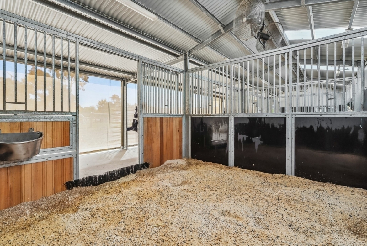 1220 Avila Road, Curlewis VIC Horse Property for sale in Curlewis