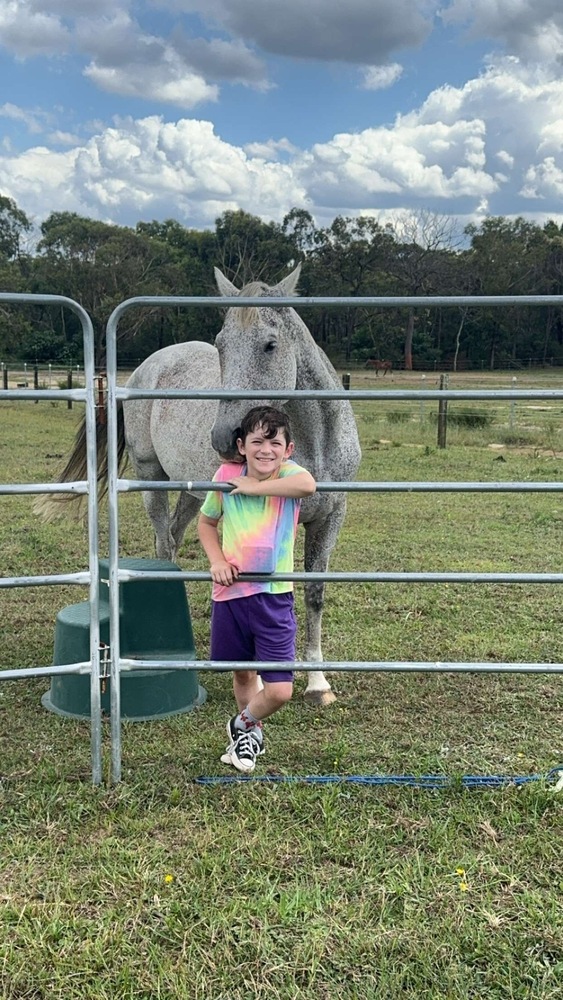 Grey OTTB *MASSIVE PRICE DROP* Pleasure horses Horse for