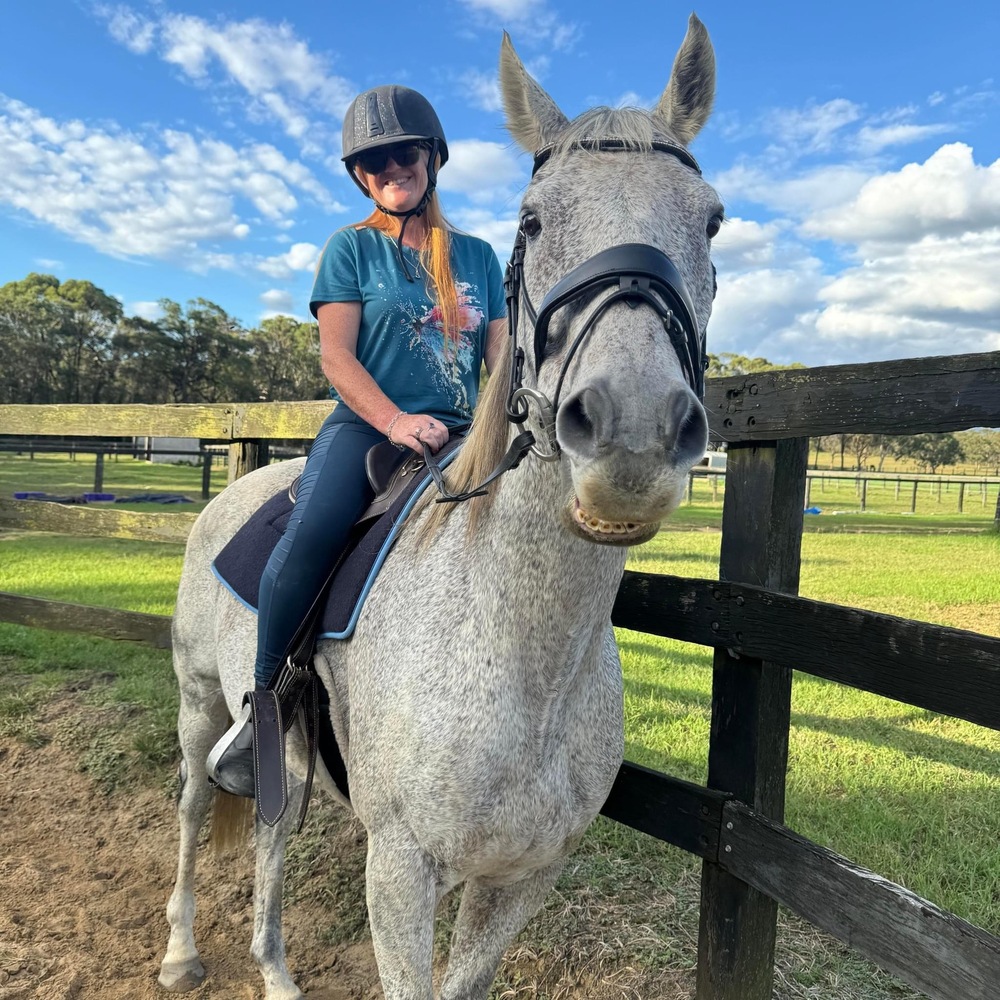 Grey OTTB *MASSIVE PRICE DROP* Pleasure horses Horse for