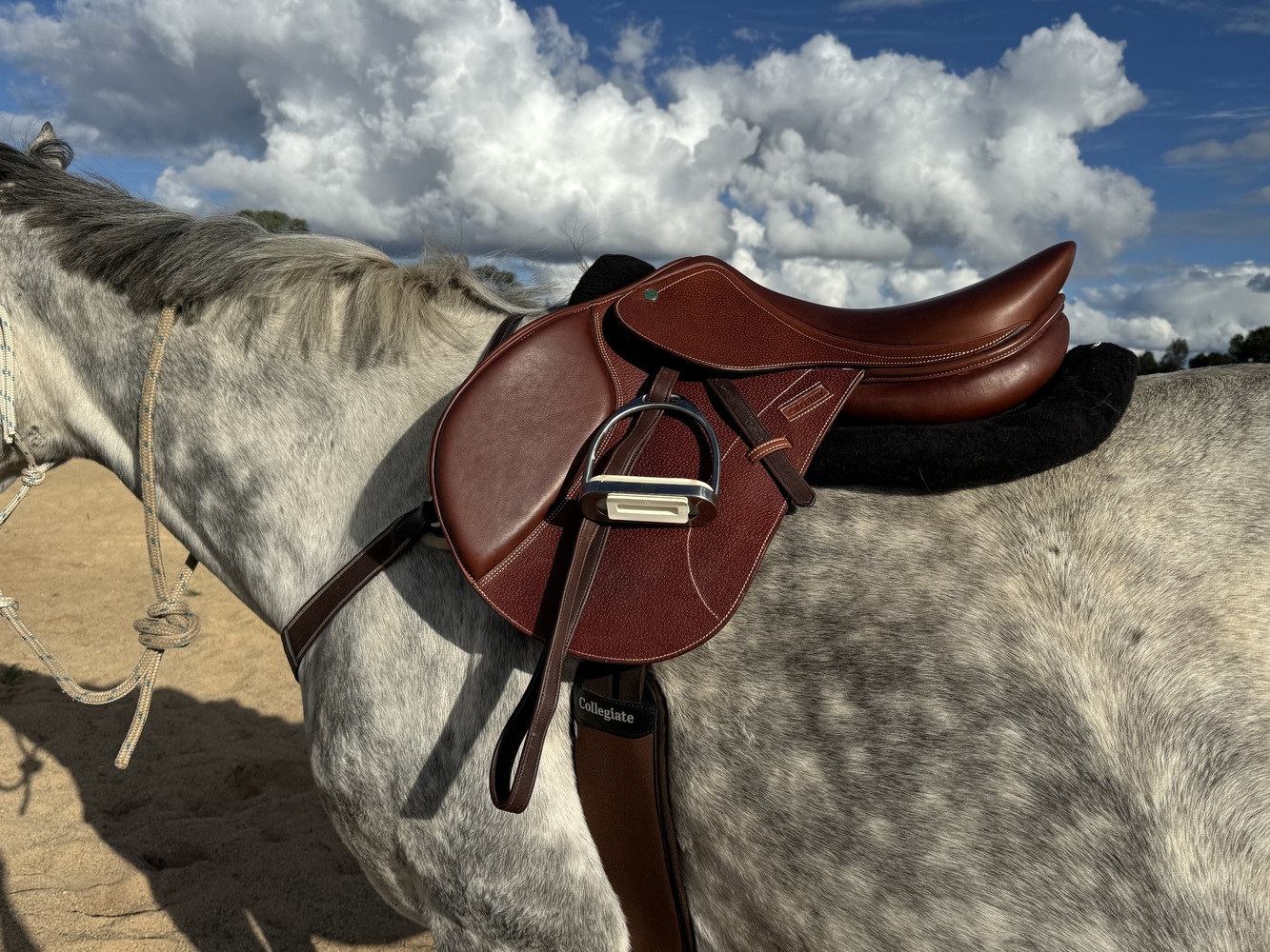 Crosby Jump Saddle Saddlery for sale Saddles, Tack and Apparel for