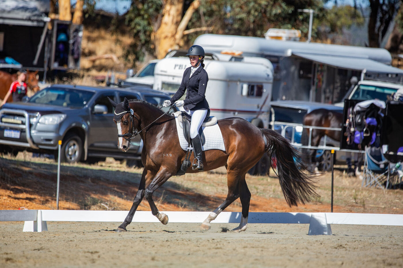 Competitive 2* Eventer Eventing horses Horse for sale in