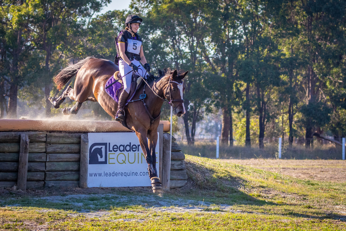 Competitive 2* Eventer Eventing horses Horse for sale in