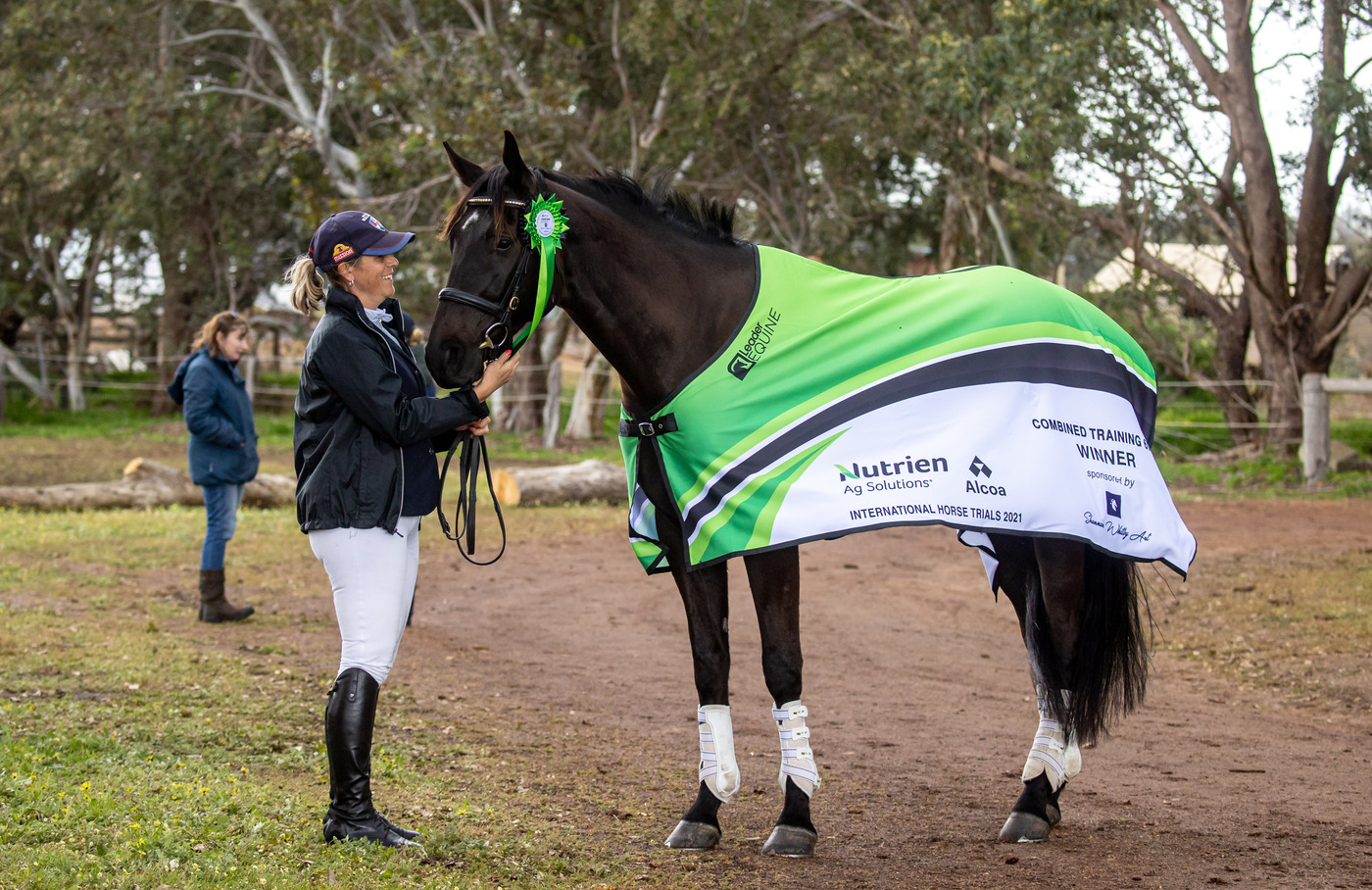 Beautiful Black ASH Showjumper Showjumping horses Horse for sale in