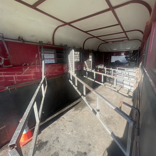 4/5 Tuza Angle Load Floats Horse Transports for sale in Buckland TAS Horse Deals