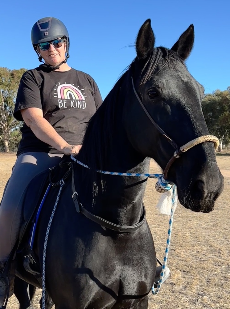 Monnie Show horses Horse for sale in Lewiston SA Horse Deals