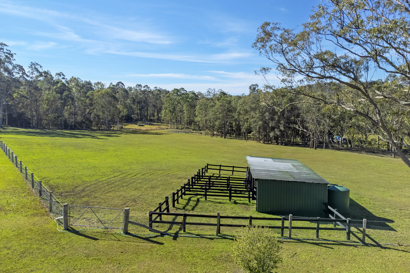 Central Coast Rural Dream Horse Property for sale in Jilliby NSW