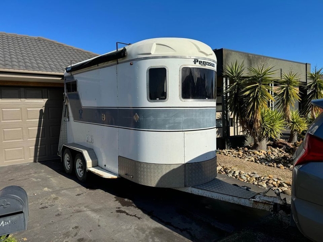 Pegasus 2HSL Float (extended) Floats Horse Transports for sale in