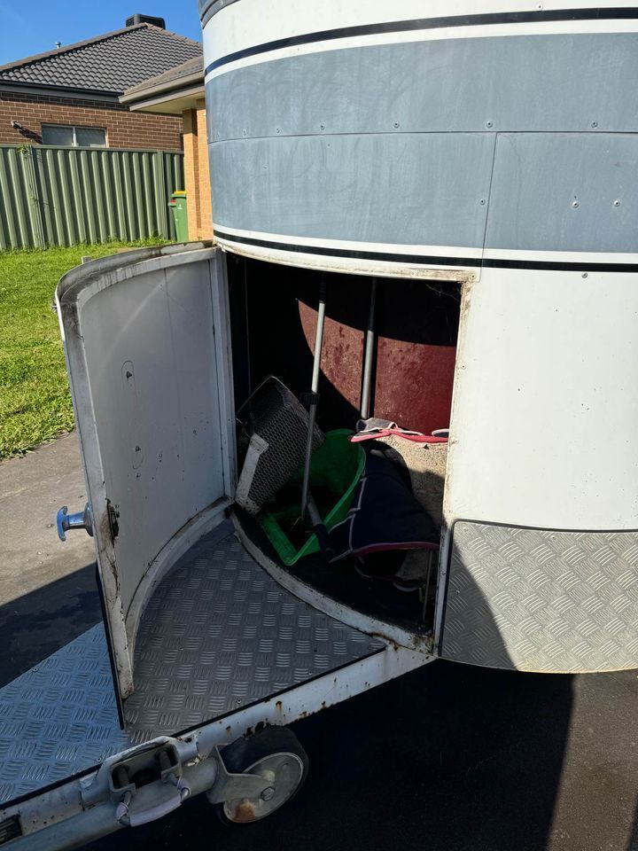 Pegasus 2HSL Float (extended) Floats Horse Transports for sale in