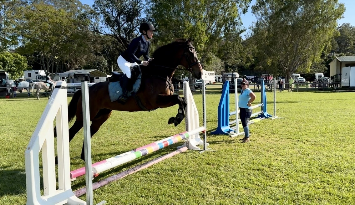 Eric Sweet, Easy OTT Allrounder horses Horse for sale in Nerang