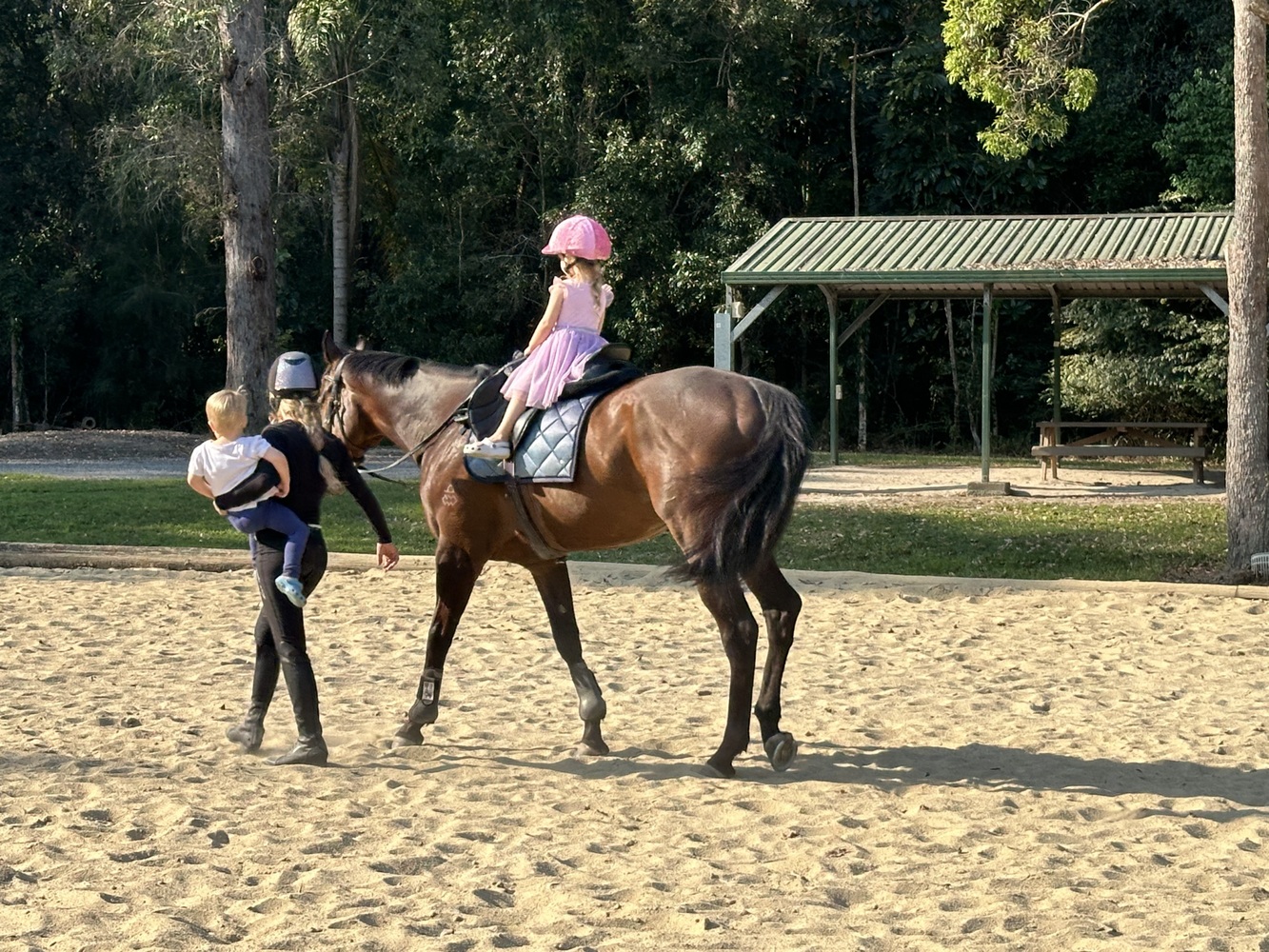 Eric Sweet, Easy OTT Allrounder horses Horse for sale in Nerang