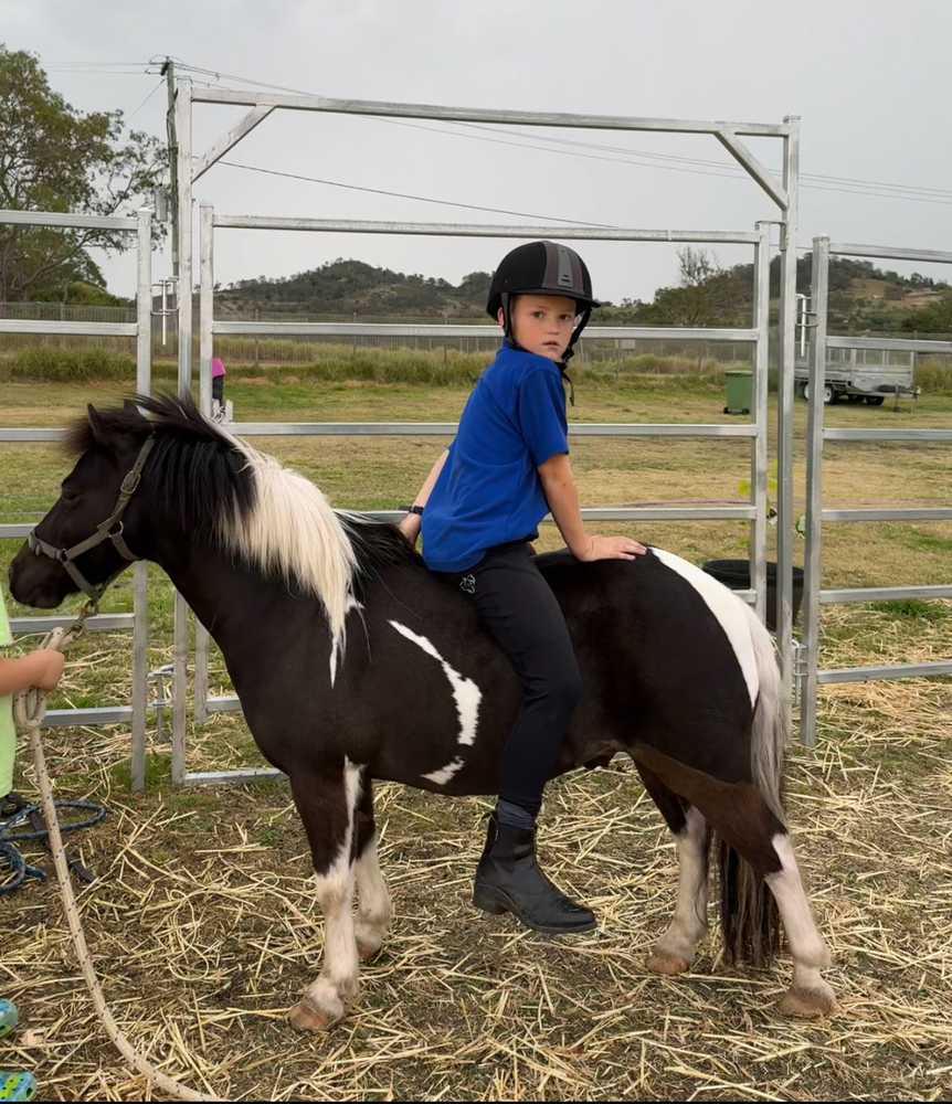 Perfect Lead Line Pony Beginners horses Horse for sale in Toowoomba