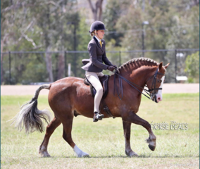 Screen shot 2018 10 02 at 2.49.44 pm