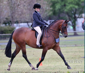 Screen shot 2018 10 07 at 7.53.12 am