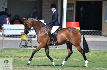 Screen shot 2018 10 07 at 7.34.28 am