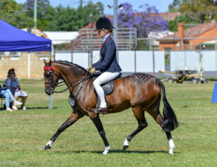 Screen shot 2018 11 14 at 2.11.31 pm