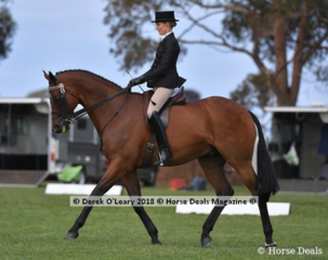 Screen shot 2018 11 26 at 10.40.34 am