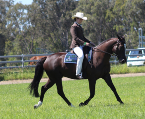 Screen shot 2018 11 27 at 9.00.35 am