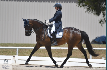 Screen shot 2018 12 07 at 8.20.04 am