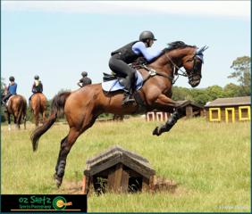 Screen shot 2019 01 21 at 8.49.27 am