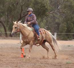 51547955 10218149294702225 2023702303982223360 o