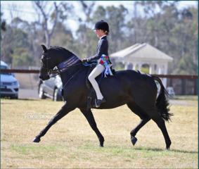 Screen shot 2019 09 16 at 8.34.38 am