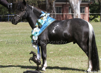 F1674881 cd5a 44d3 9991 de19612f002c