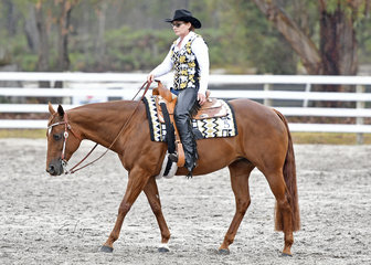 Red hot rhythm ridden by jackie becker in the senior horse western pleasure.