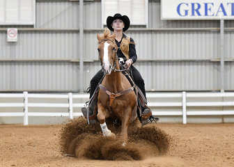 Cuttalenas little rooster ridden by jessica young in the junior horse reining.